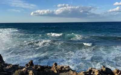 Wycieczka fakultatywna, Marathon Jeep Safari - Narodowy Park Akamas z Pafos