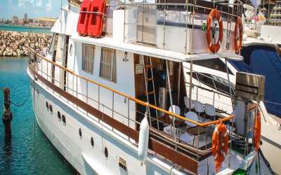 Wycieczka fakultatywna, Wycieczka Dream of Turtles ST Georgios II rejs poranny z Salamis, Bafra - marzenie zobaczyć żółwie dla rodzin z Cape Greco i Larnaką