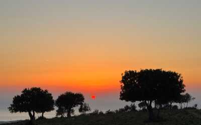 Wycieczka jednodniowa, Z Limassol do wąwozu Avakas Kanyon Mini Marathon