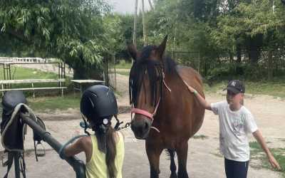 Obóz młodzieżowy, Julinek – Wioo Przygodo z Hobby Horse B&B Julinek Park, 7 dni 9-12 lat