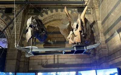 Obóz młodzieżowy, Londyn - obóz turystyczno-językowy Londyn, 9 dni 13-19 lat