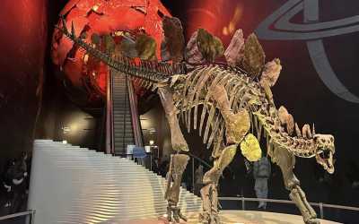 !tr_error=pl->oboz_mlodziezowy_zagraniczny!, Londyn - obóz turystyczno - językowy - wylot z Krakowa - 13-19 lat