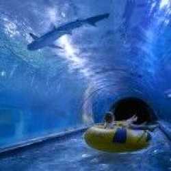 Wycieczka fakultatywna, Aquapark + gadolandia i papugarnia